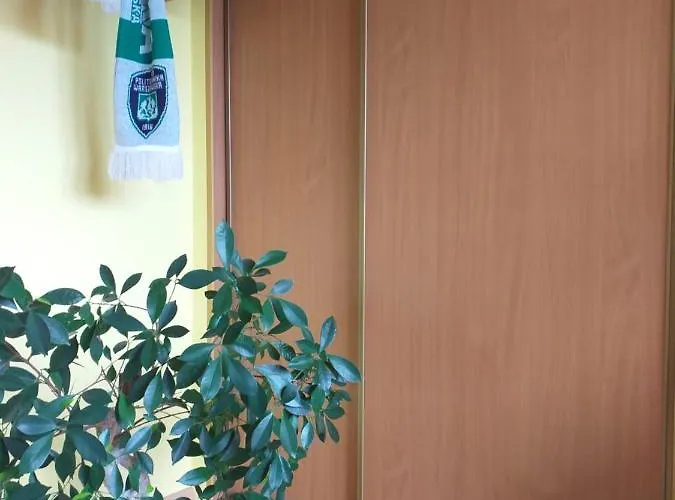 Pod Przehyba - בית אירוח *